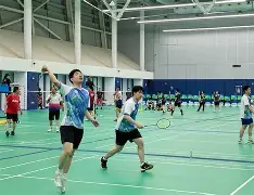 印尼羽毛球队横扫英格兰羽毛球队,安赛龙绝境逆转的简单介绍 印尼羽毛球队横扫英格兰羽毛球队,安赛龙绝境逆转的简单介绍