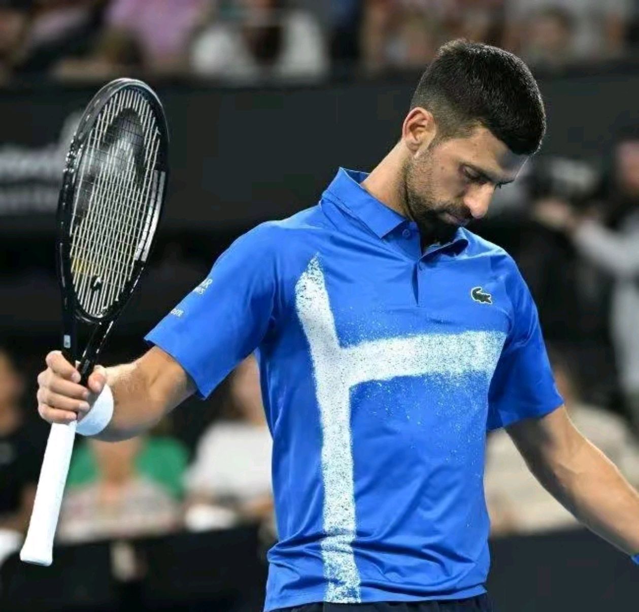 德国网球队横扫美国网球队，德约科维奇制霸全场