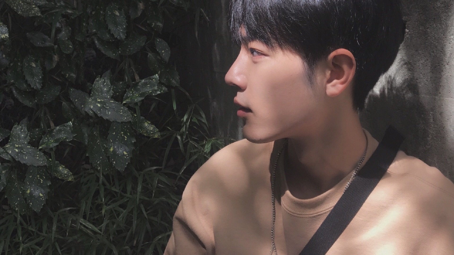 荣耀对决，戴维斯杯力克澳网，穆雷以国家之名点燃战火