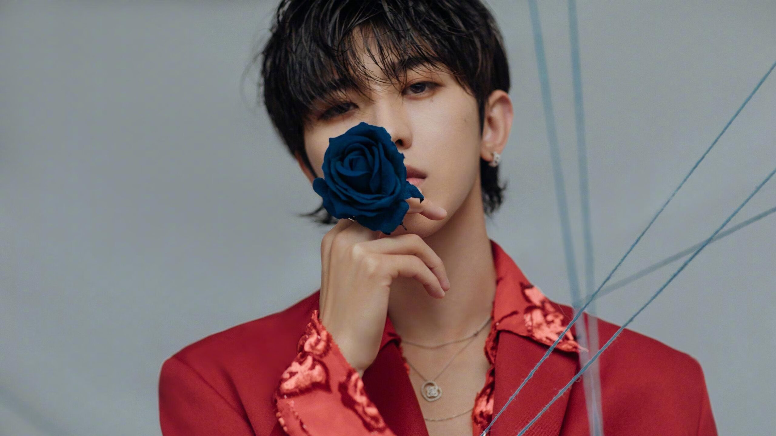 硝烟尽处,拉梅洛的救赎之路与辽宁队的血肉长城