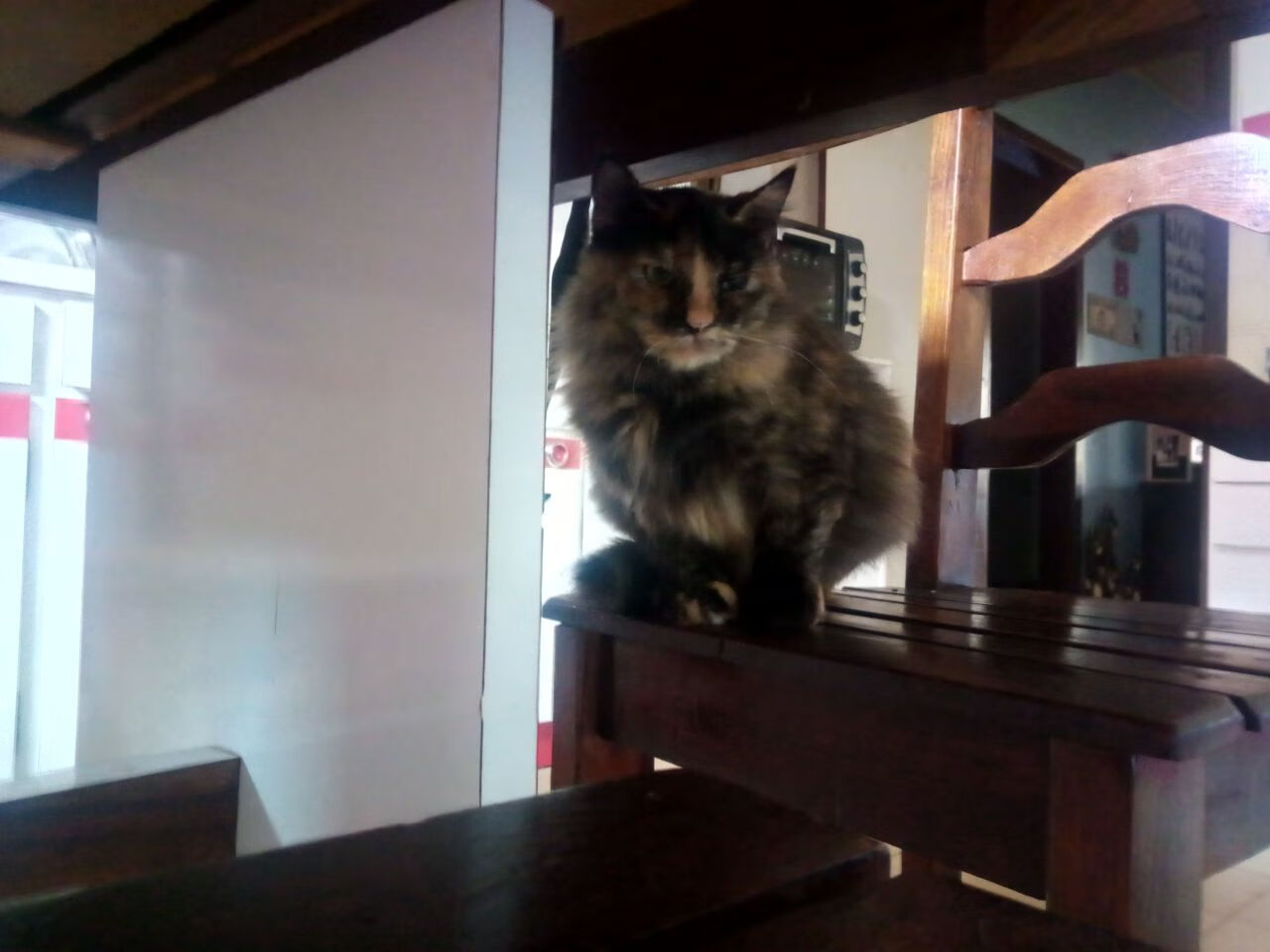 技术性击倒，当穆勒的双脚写下唯一的定义