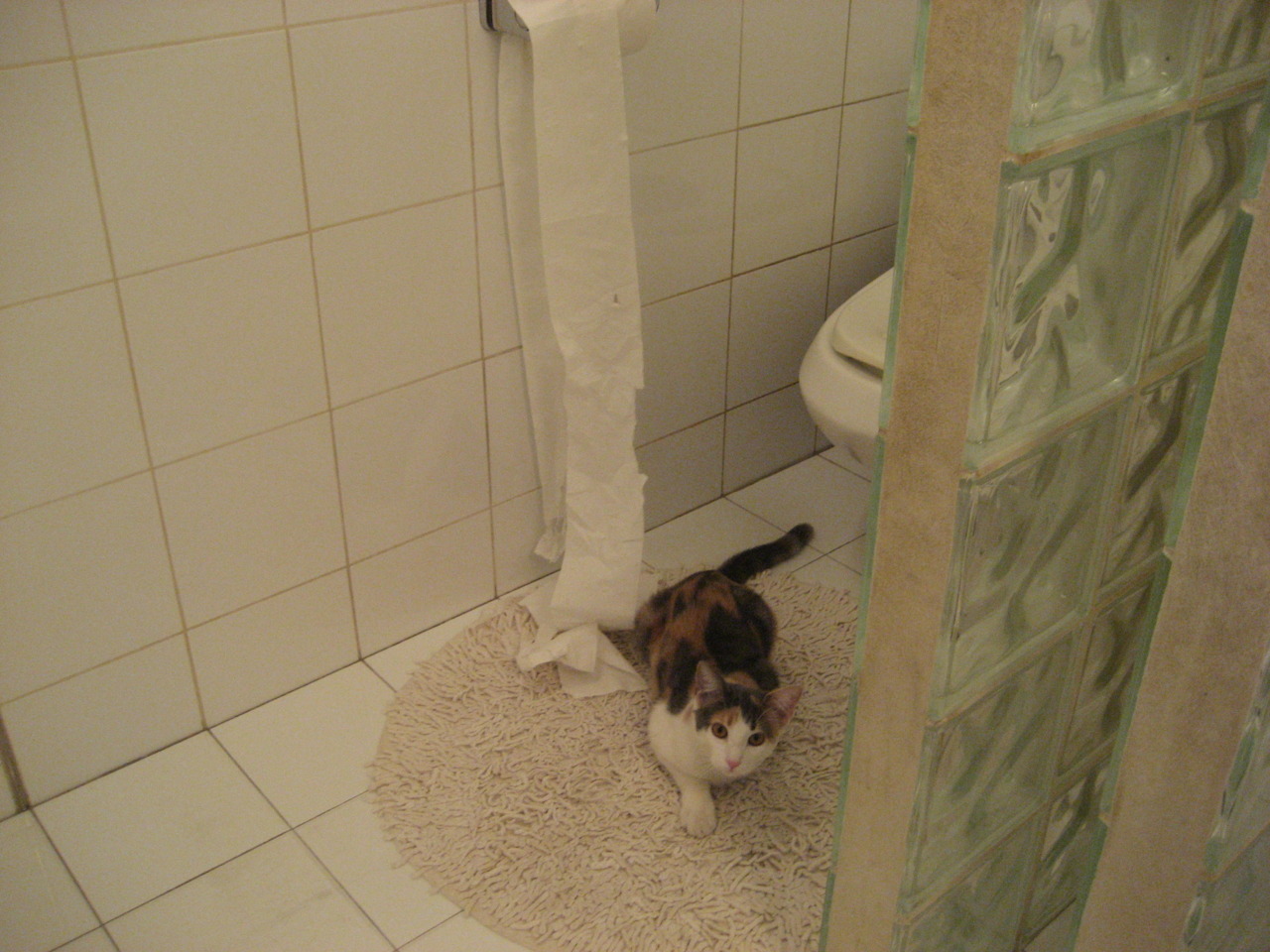 初代独角兽的成人礼，切特·霍姆格伦的封神之夜