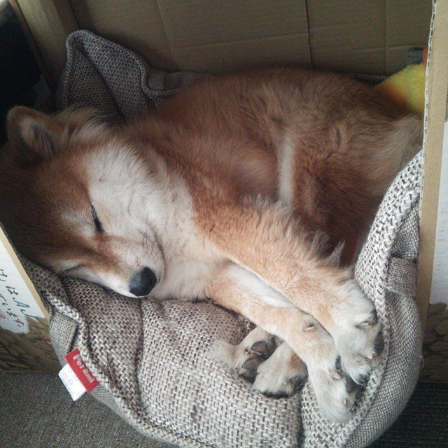 马克西时刻席卷球场，勇士团队协作如磐石般击溃浙江队