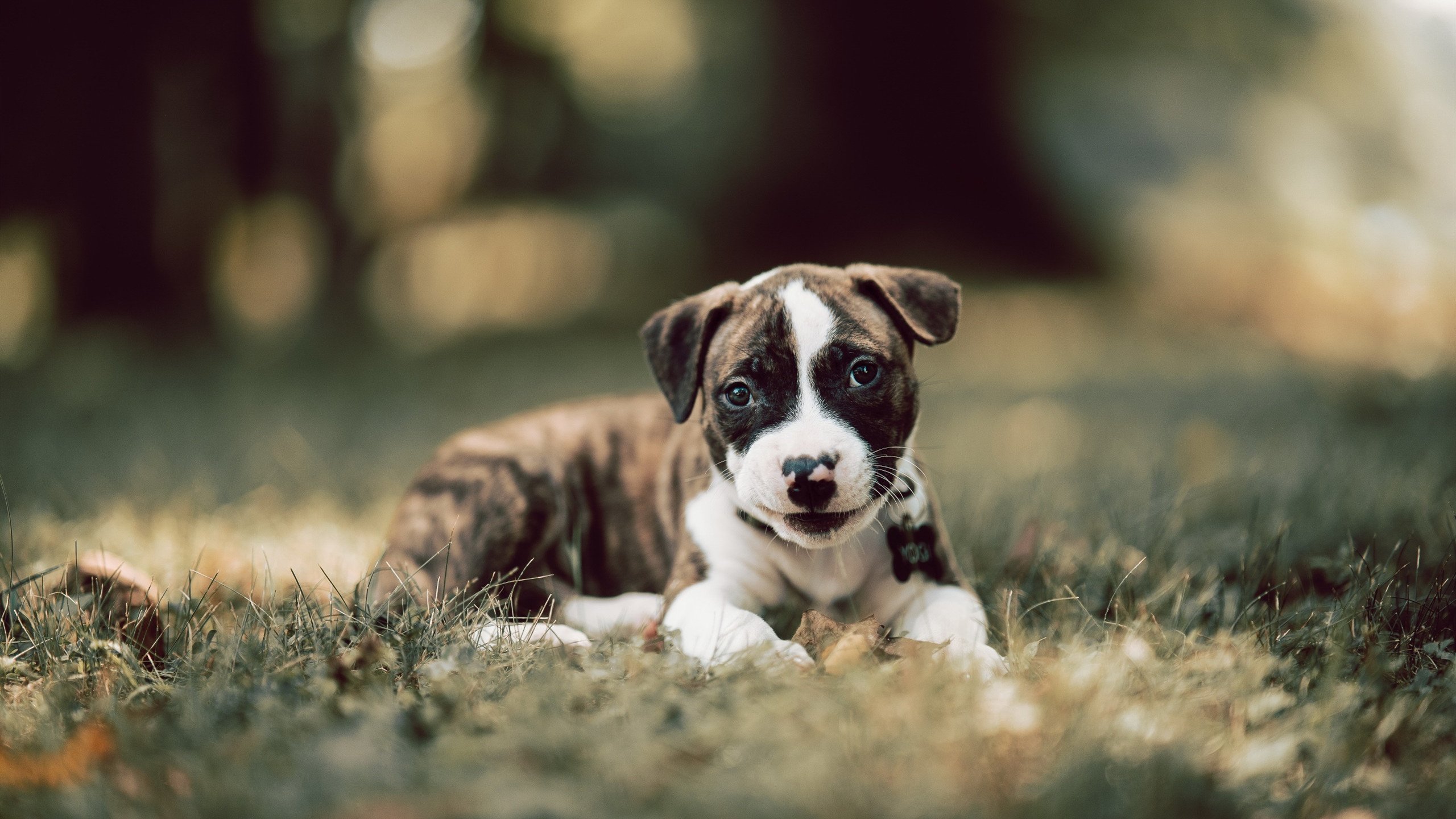 那个唯一性的时刻