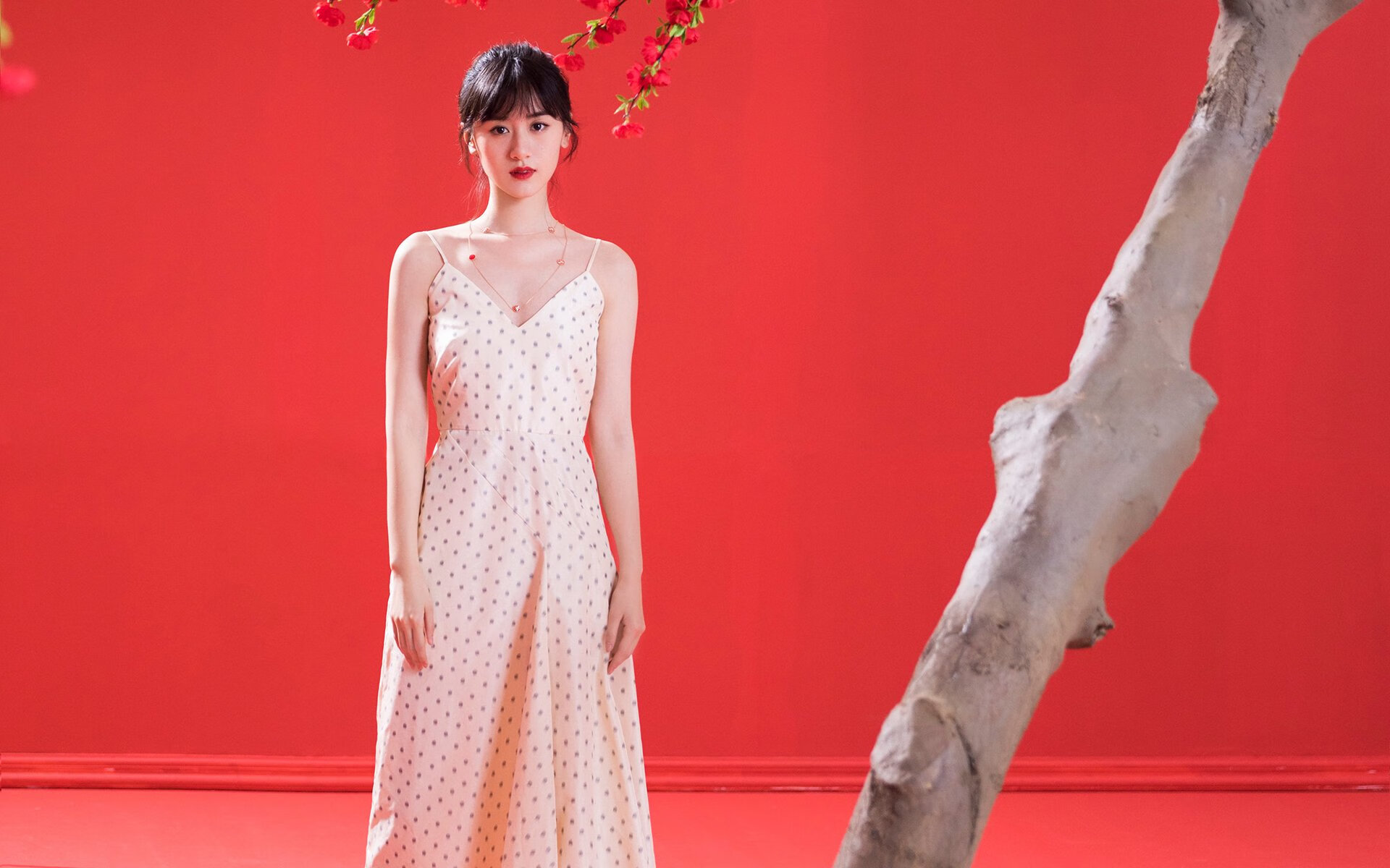 阴影中绽放，F1年度争冠之夜的唯一主宰