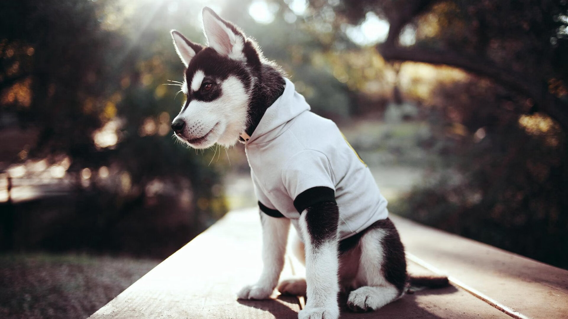 冰封罗马之夜，莱奥以完美演出掀翻北欧堡垒