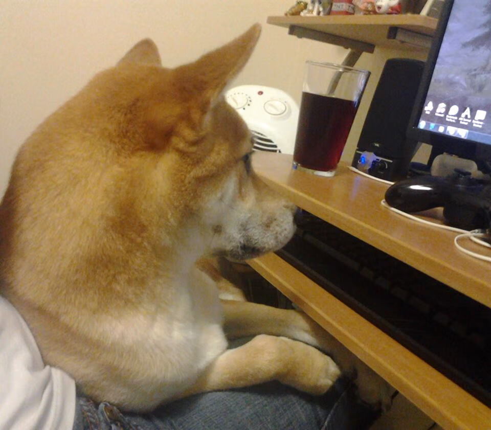 爵士乐师败给说唱歌手，利拉德用音符征服篮球夜晚