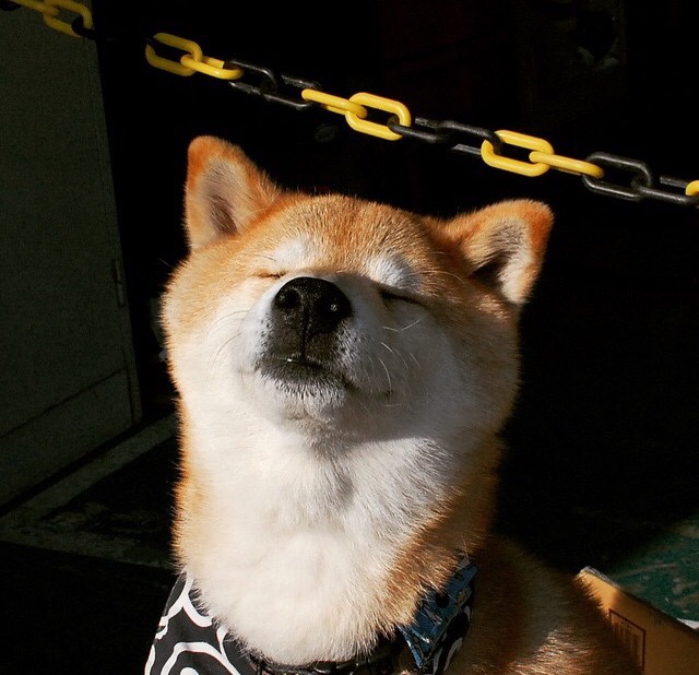 橙蓝之界与红黑之魂,当荷兰遇上米兰的卢卡库密码