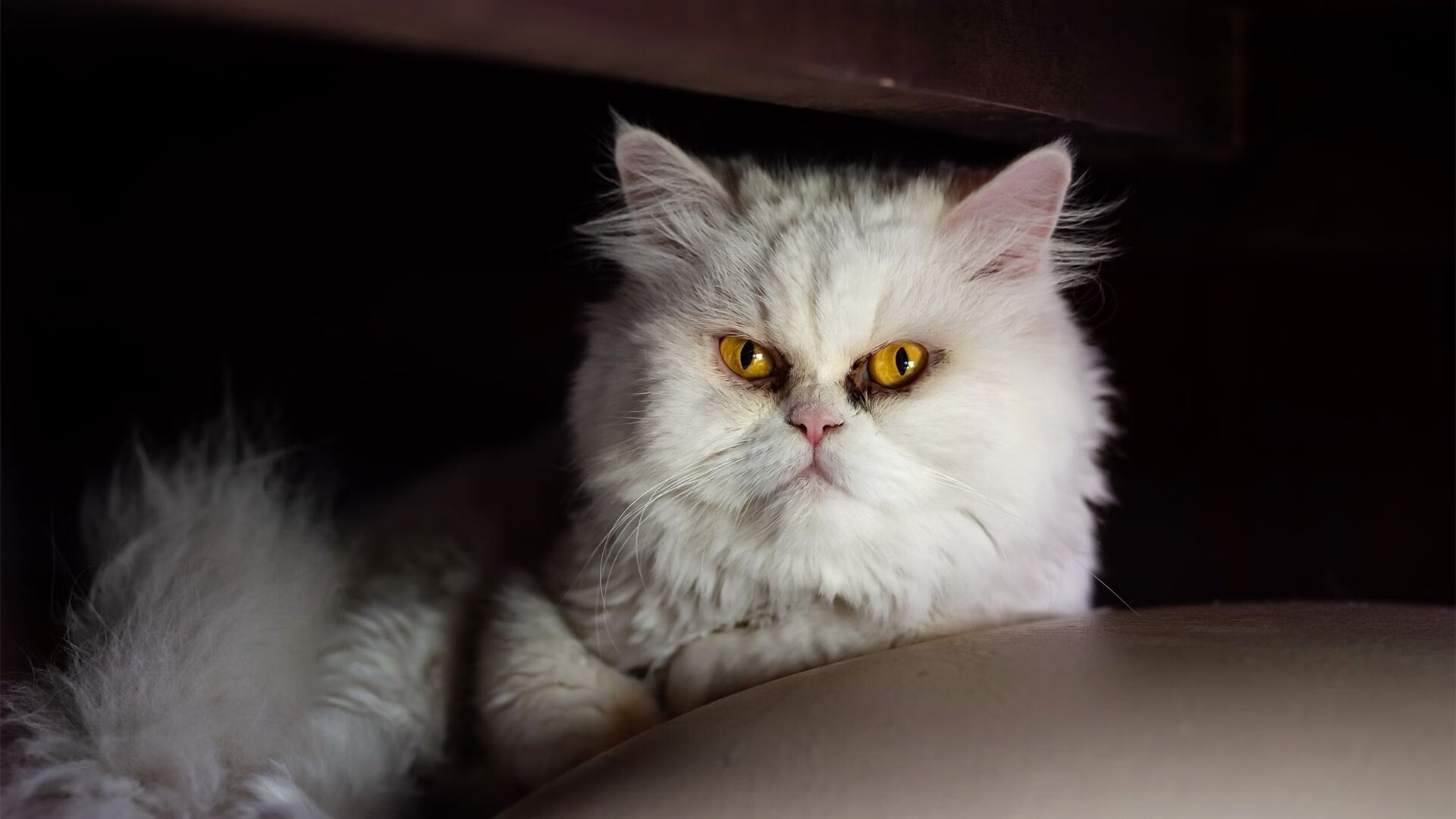 梅西爆发助国际米兰淘汰赛力克英格兰豪门，晋级之路再添传奇