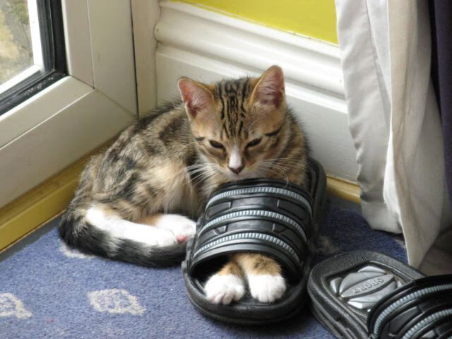 阿圭罗的奇迹之夜，威尔士vs利物浦友谊赛中的王者表现