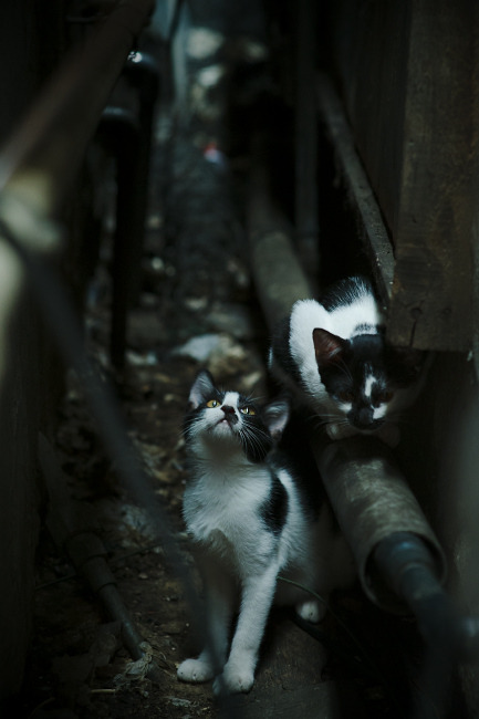 窒息式防守下仍能脱缰!乔治单核率队击溃老鹰铜墙铁壁