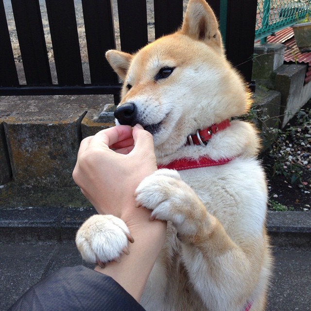 疯狂三月！广东队上演极致反差，西亚卡姆关键进球定乾坤