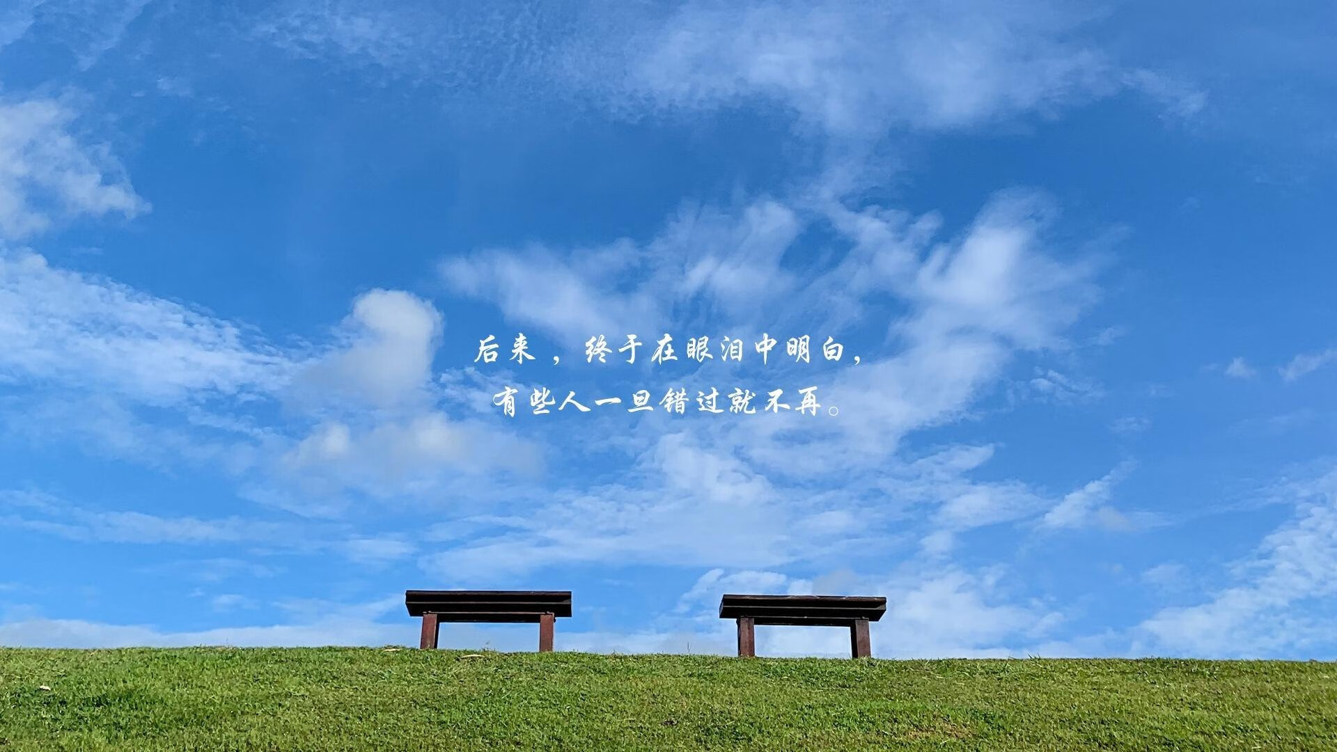 逆转巴伐利亚,当佩德里的左脚改写了2026世界杯F组的命运