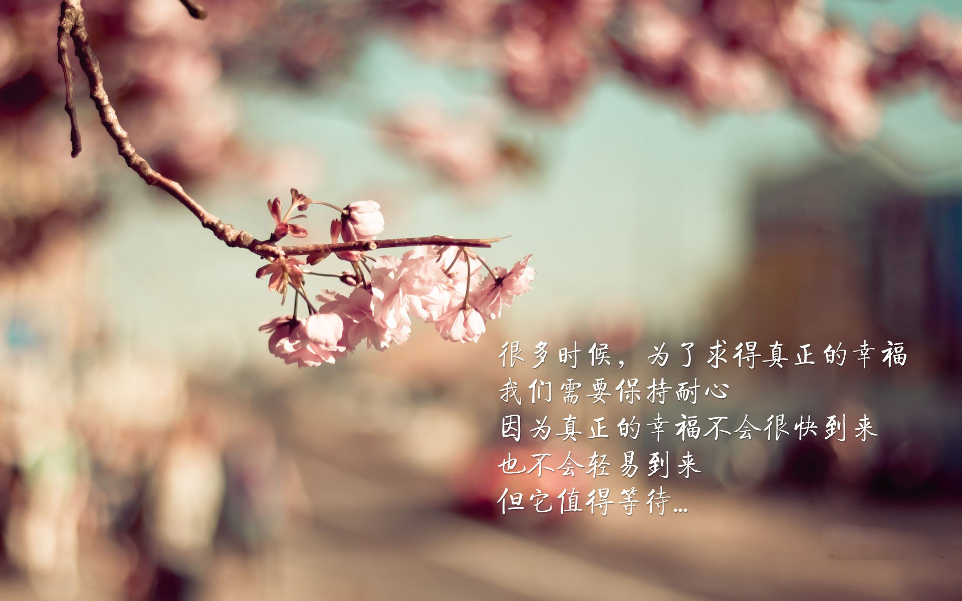 这是一篇为您定制的深度文章,围绕您提供的关键词,以唯一性为核心视角展开。标题和内容均突出了比赛的戏剧性、对抗的强硬以及B费的领导力