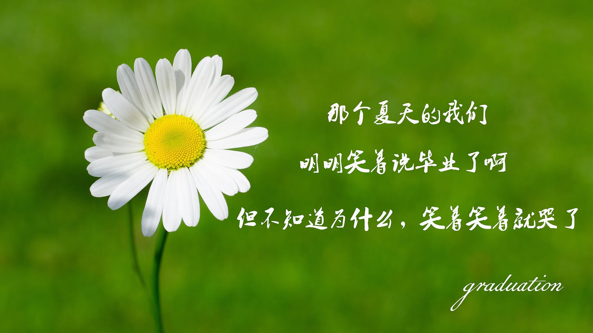 扩展与选择