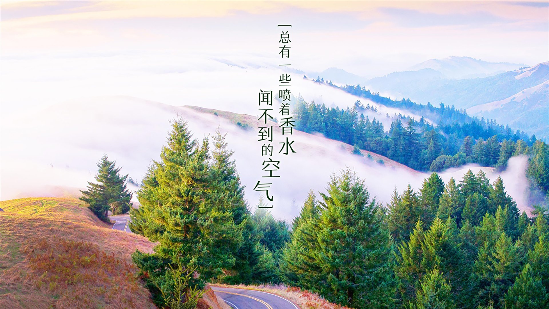 致命一击的轮回,当桑巴压制遇上东方的叹息,苏亚雷斯在美加墨写下终极答案