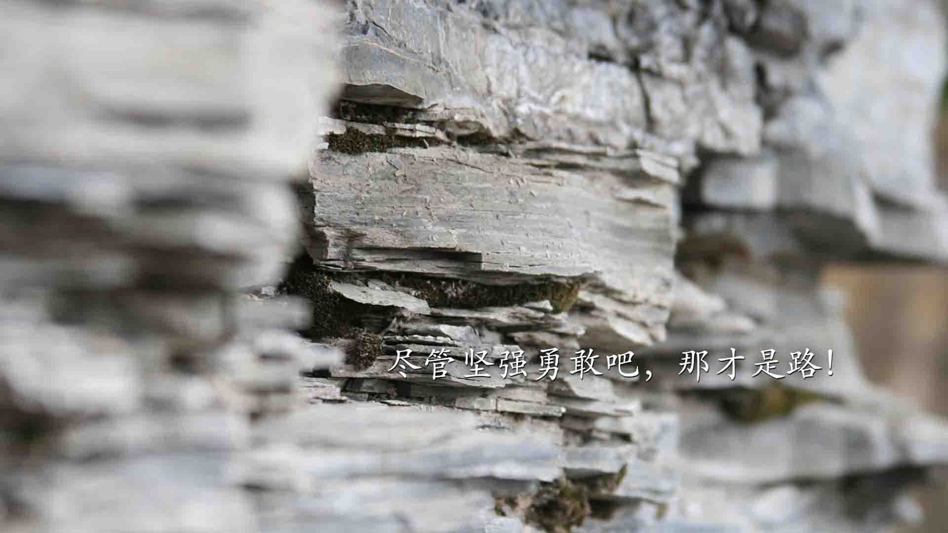 只有一次起跳的机会,当奥斯梅恩的膝盖高于所有条条框框—2026世界杯,加拿大vs伊朗,关于唯一解法的足球哲学