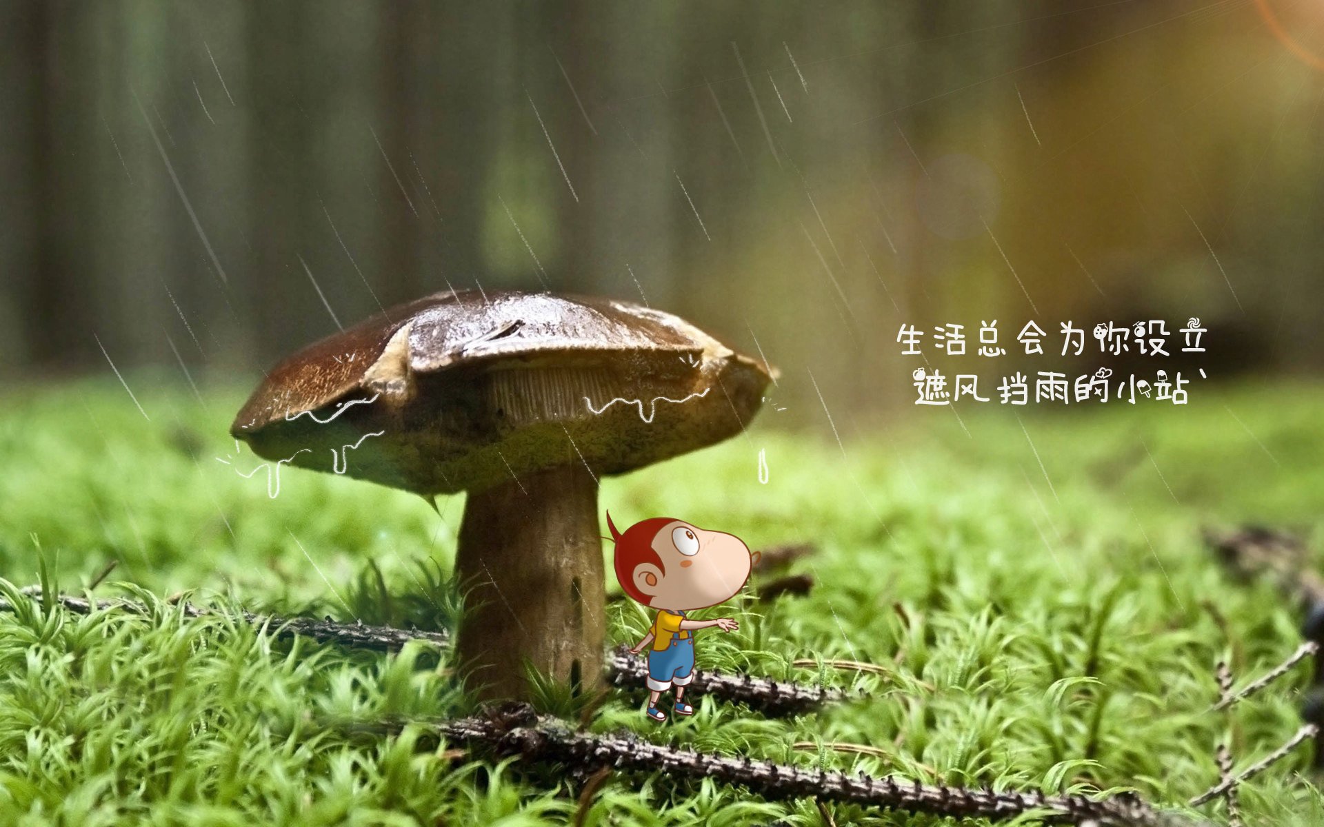 这是一篇为您定制的深度文章。文章标题采用了纪实+叙事+悬念的手法，以强化唯一性的现场感和冲突感